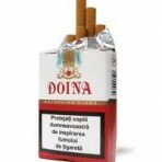 Doina Soft Doina Soft